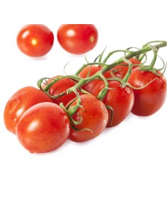 Tomate Cherry Extra
