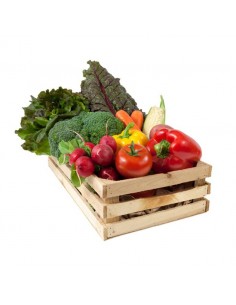 Cesta fruta / verdura BASIC